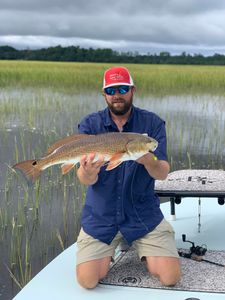 Epic Encounter with a Giant Red Drum!